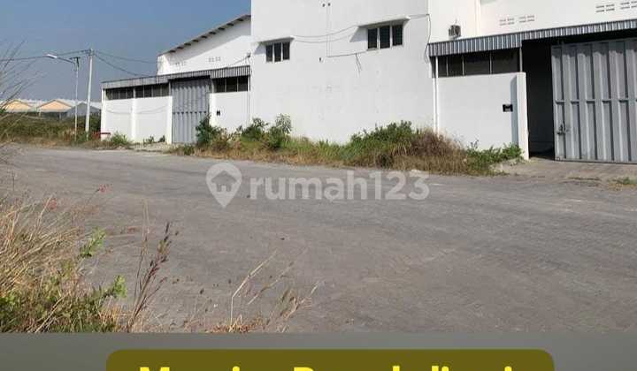 Available For Rent !! 5000m2 Warehouse in Bumi Maspion Romokalisari !! Brand New Building