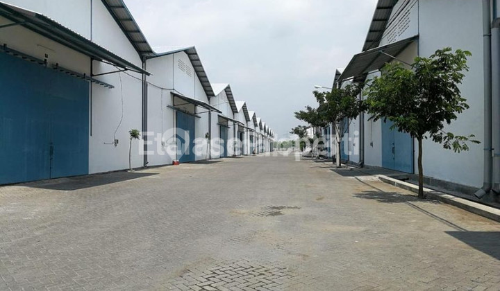 On Progress !! Disewakan Gudang Luas Bangunan 1 Hektar !! #Lokasi Raya Romokalisari On Progress !! Disewakan Gudang Luas Bangunan 1 Hektar !! #Lokasi Raya Romokalisari