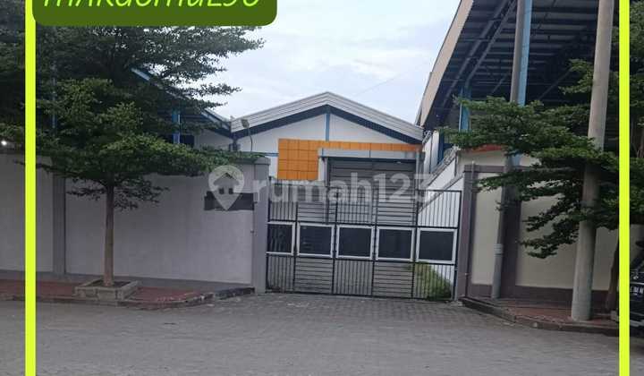 Sentral Permai Margomulyo Warehouse, Surabaya // Limited Units Only 250 Million/Year