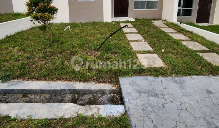 Disewakan Rumah Masih Baru Di Singabraja, Tenjo Rumah SHM 1