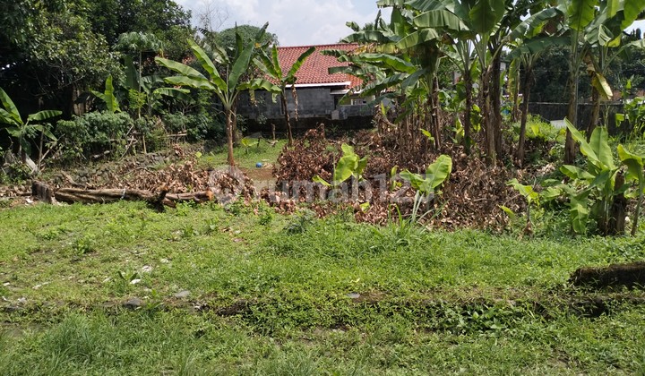 Commercial Land, Corner Position, Flat Land Shape, Suitable For Building New Residences, Location Within A Housing Estate.