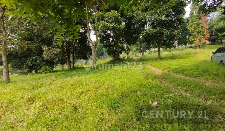 Segera Tanah Luas Di Jl Pancawati Caringin Bogor 1