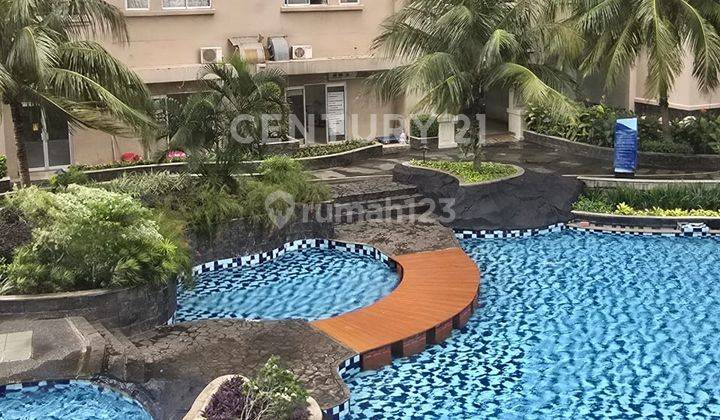 Apartemen Mediterania Ancol 2 BR Furnish Sudah Renovasi  1