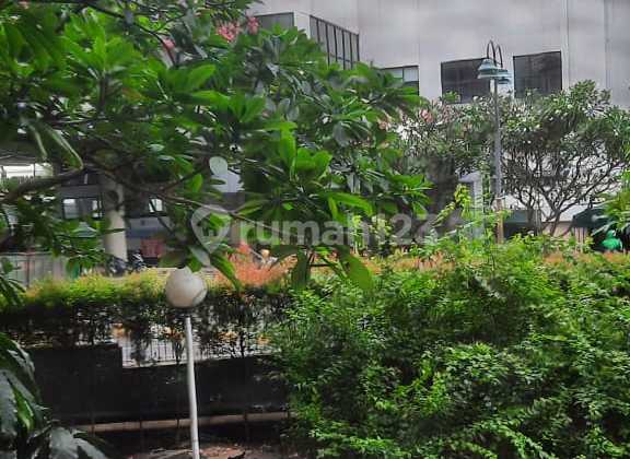 For Rent Ready-to-Occupy Taman Rasuna Apartment, South Jakarta 2