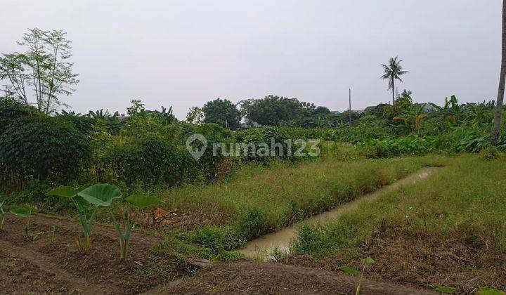 Jual Cepat Siap Dibangun Lahan Luas Area Cimone Tangerang  1