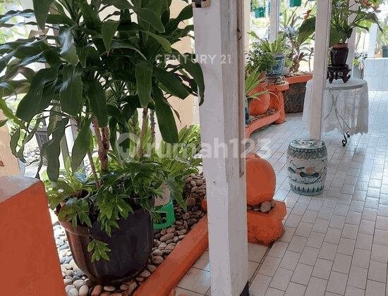 Hoek 1  Asri House  Floor In Sunter Mas North Jakarta 2