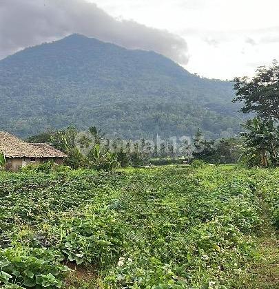 Jual Tanah Lokasi Strategis, Tangerang, Banten Jual Tanah Lokasi Strategis, Tangerang, Banten