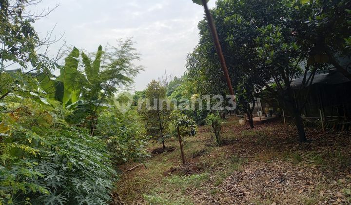 Turun Harga Tanah Di Bojong Kulur Turun Harga Tanah Di Bojong Kulur