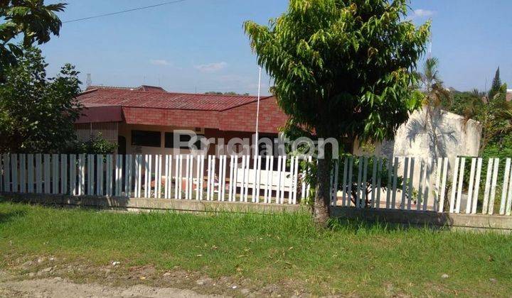 RUMAH VINTAGE DAN LUAS PEMANDANGAN KOTA SEMARANG BEBAS BANJIR 1