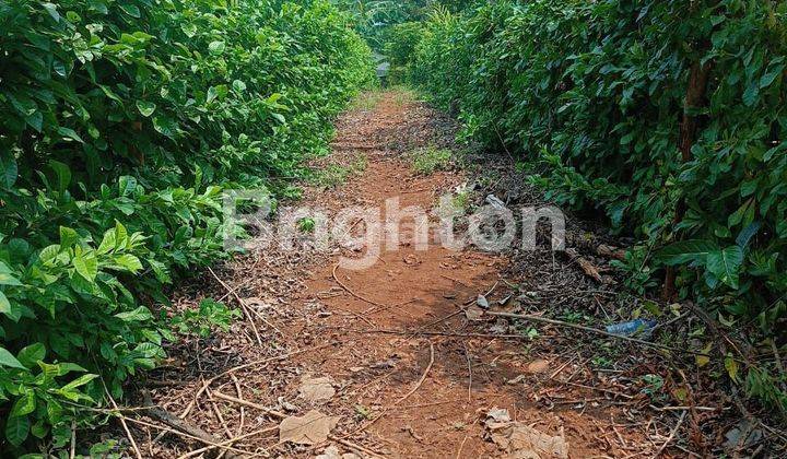 LAHAN  AREA TEMBALANG BISA UNTUK KOS2 AN ATAU PERUMAHAN 2