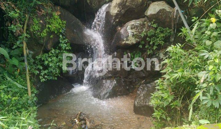 TANAH 4,3 HA SUMBER MATA AIR DI BANYUBIRU SALATIGA 1