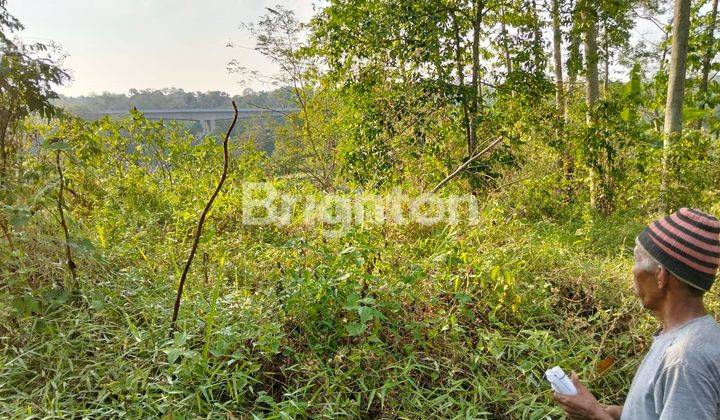 TANAH 300M2 DI BANYUMANIK SIAP BANGUN RUMAH 2