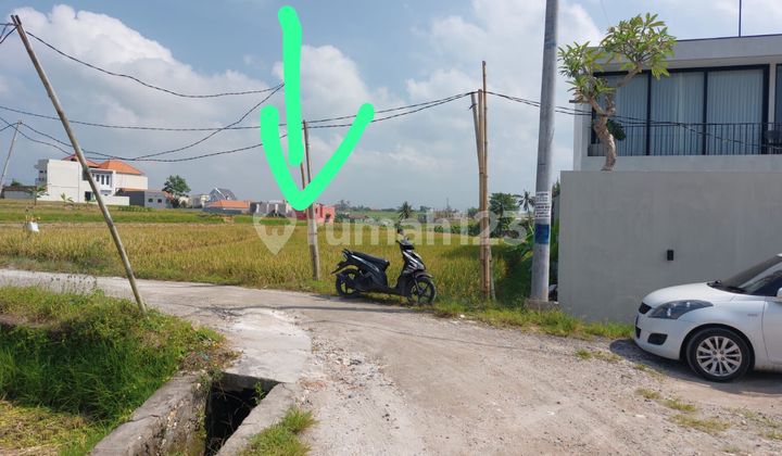 Tanah Luas 3080 M2 Di Raya Munggu - Canggu Tanah Luas 3080 M2 Di Raya Munggu - Canggu