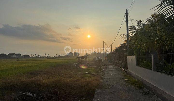 Premium Land with Rice Field View & Close to the Beach. (Rental Land) 2