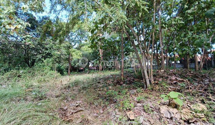 Cheap land in the Kampial housing complex  2