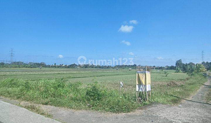 ITR yellow strategic plot of land in the city-state area 2