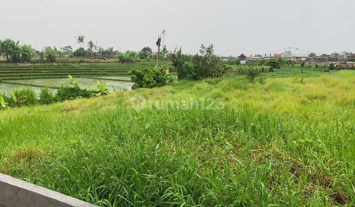 Tanah Strategis Yellow Zona Di Nyanyi Tabanan  1