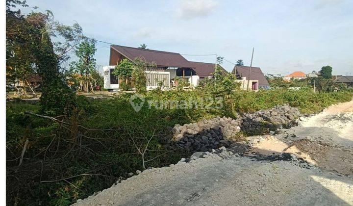 Premium Land For Rent, Villa And Business Area In Canggu Area, Bali 2