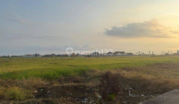 Leasehold Land Cemagi Near To Beach 2