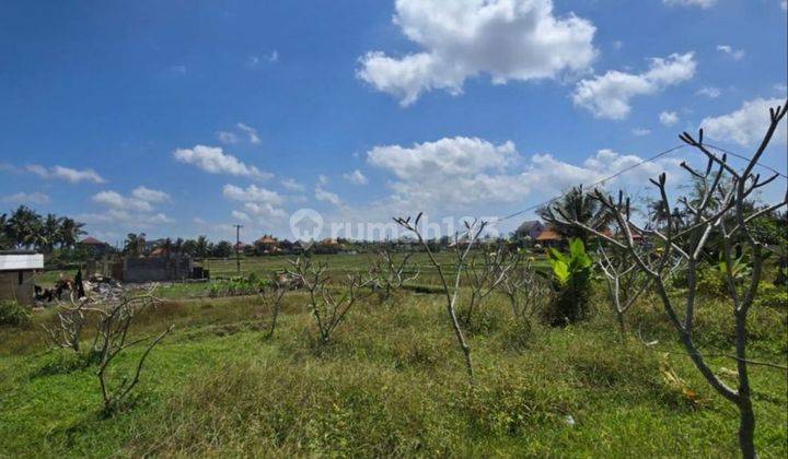 Premium Land in Ubud Central Area, Behind Bebek, Edge of Rice Fields. 2