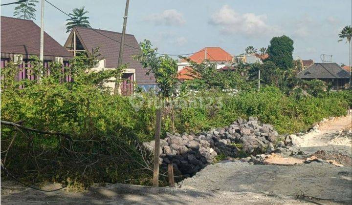 Premium Land For Rent, Villa And Business Area In Canggu Area, Bali 1