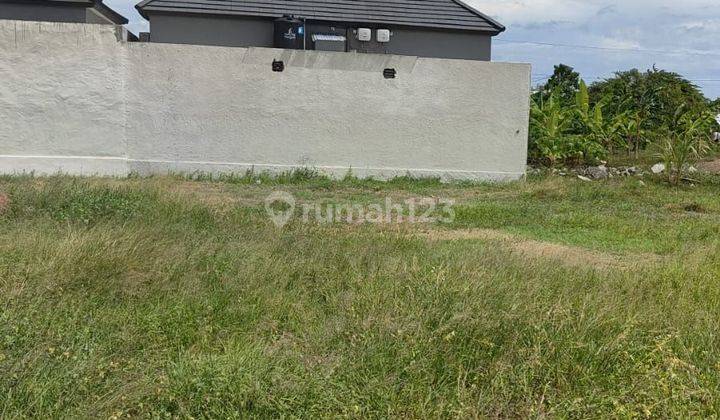 Freehold or Leasehold Land at pererenan  2