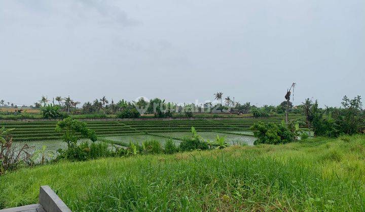 Tanah Strategis Yellow Zona Di Nyanyi Tabanan  2