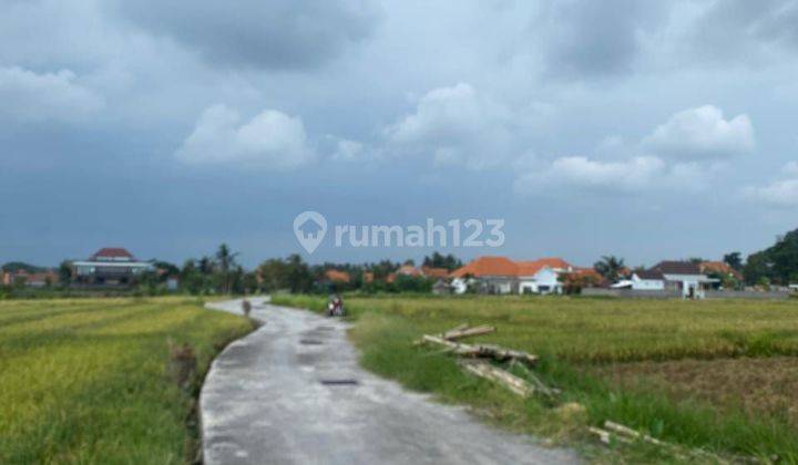 Leasehold Land In cemagi Area  2