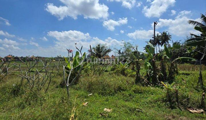 Premium Land in Ubud Central Area, Behind Bebek, Edge of Rice Fields. 1