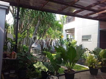 Rumah Di Bsd. Cluster Puspita Loka. Komplek Asri Dan Tenang. Lokasi Akses Tol Dekat Dan Dekat Dengan Sekolahan. Luas Tanah 368m2. Luas Bangunan 250m2. Ada Swimming Pool. Posisi Rumah Di Hoek. Harga 6,8 Milyar Nego 2