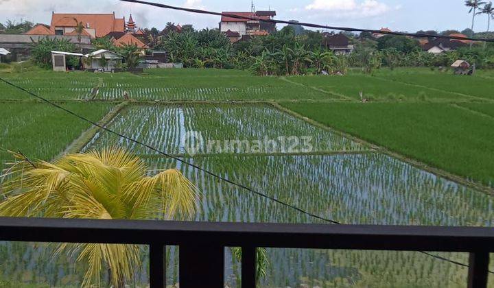 VILLA LUKLUK VIEW SAWAH SEMPIDI BADUNG BALI 2