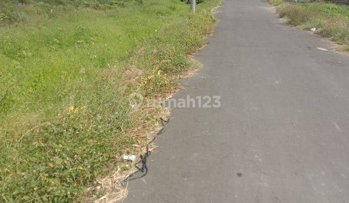 LAND VIEWING THE RICE FIELDS ON THE BORDER OF RENON AND SANUR BALI 2