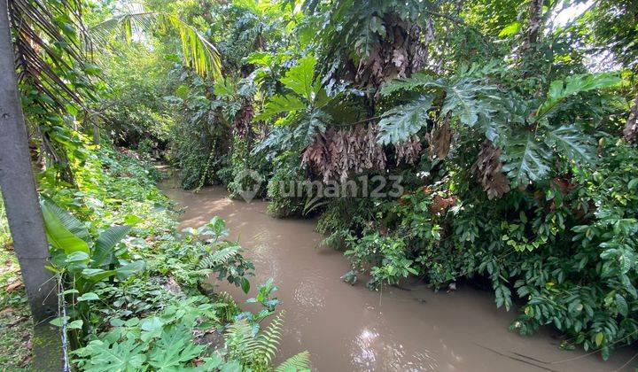 TANAH VIEW SUNGAI DAN SAWAH NYITDAH TABANAN BALI 2