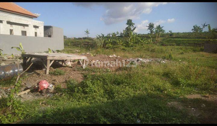 TANAH PEGUYANGAN DENPASAR UTARA BALI 1