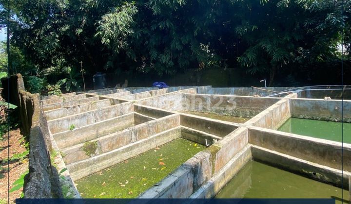 Dijual Murah Lahan Budidaya Atau Usaha di Purwakarta