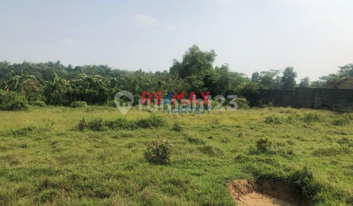 Land Area 20,000 M² Freehold Title Land Area 20,000 M² Freehold Title