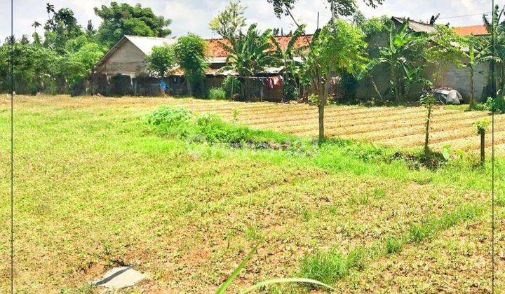 Dijual Cepat Tanah 2478 m² Sangat Murah Di Babelan Bekasi  2