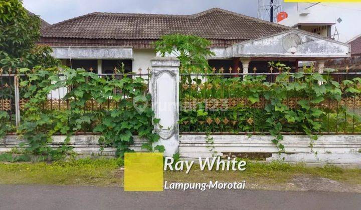 Di  Rumah Lokasi Pahoman Bandar Lampung 1