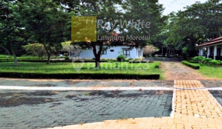 Land for Sale Former Poultry Farm