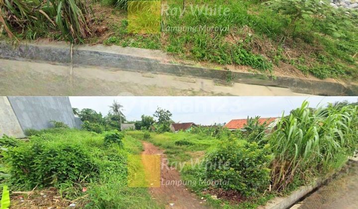 Land Near SMA 9 Bandar Lampung