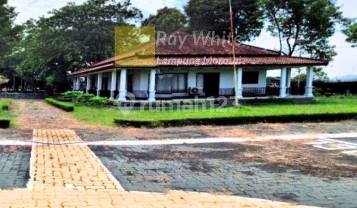 Land for Sale Former Poultry Farm