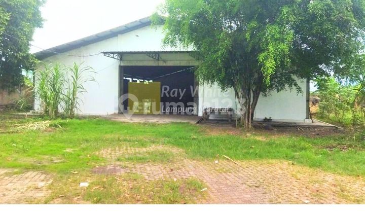 Land and Buildings of Panjang Port Protocol Road