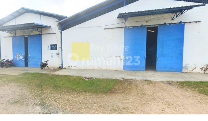 Peace Warehouse Peace Warehouse