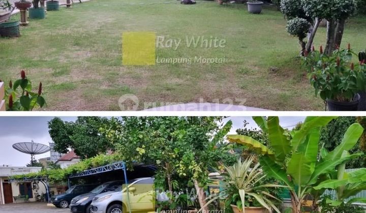 Rumah Mewah Tengah Kota 2