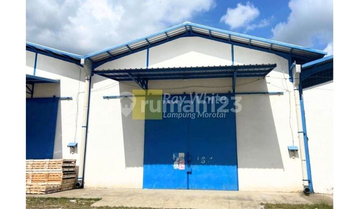 Peace Warehouse Peace Warehouse