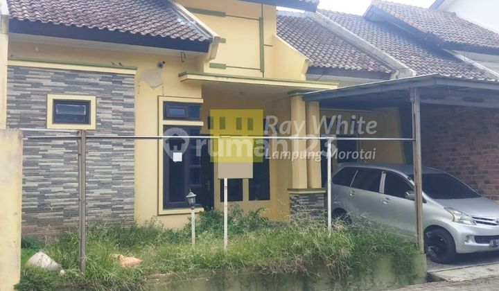 Rumah Perum Arum Lestari Sukarame