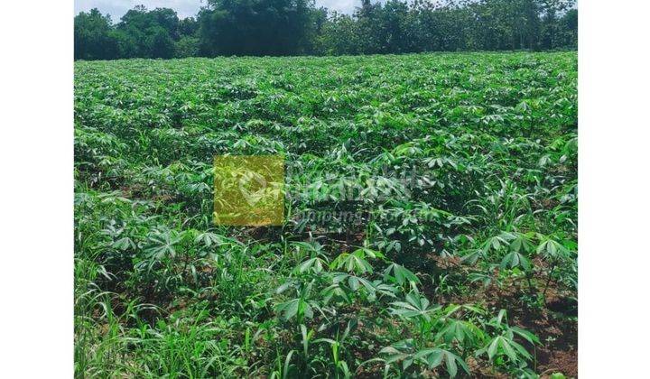 Dijual tanah di daerah Natar 2