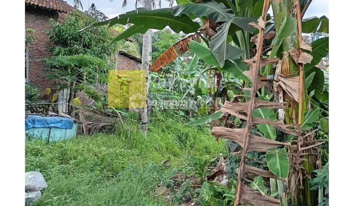 Diual Tanah di Beringin Raya Kemiling 2