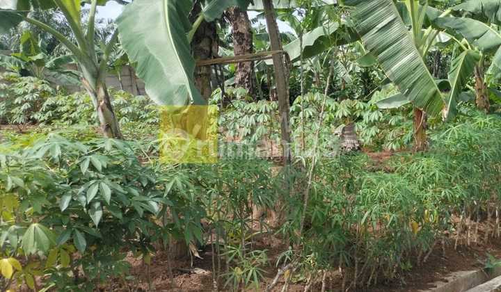 Dijual tanah di wala jaya Way laga panjang