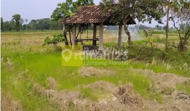 Land for sale in Jati Agung, South Lampung.